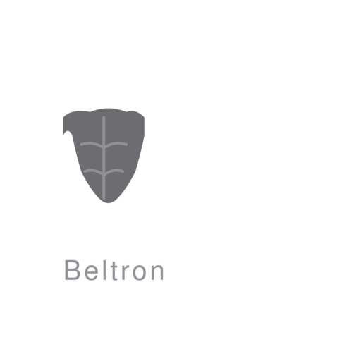 Logo da Beltron
